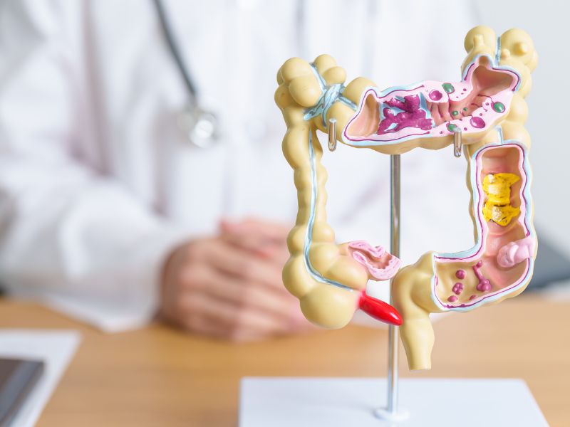 Darmsanierung und Darmreinigung Gesundheitwissen